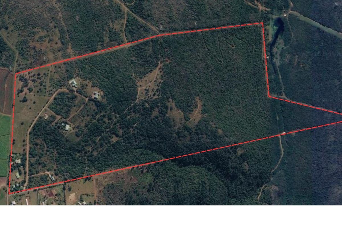 Aerial view of a large, undeveloped residential land parcel featuring dense vegetation and existing access roads.