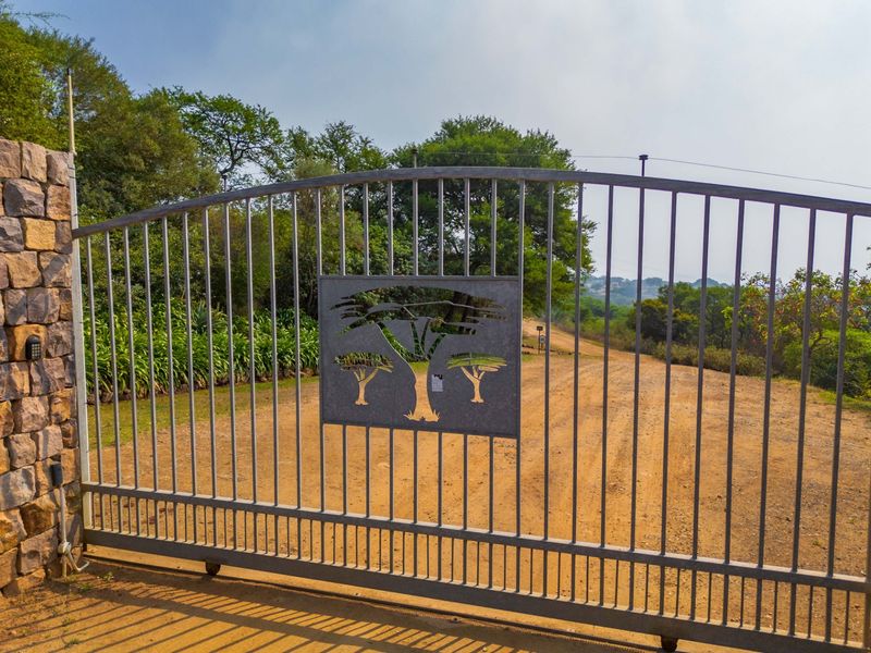 A secure metal entrance gate featuring a decorative tree cutout, mounted on a stone pillar at the start of a dirt driveway.