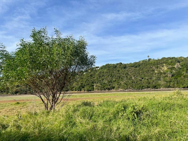 A scenic view of the natural landscape, featuring grassy terrain, a tree, and a distant hillside.