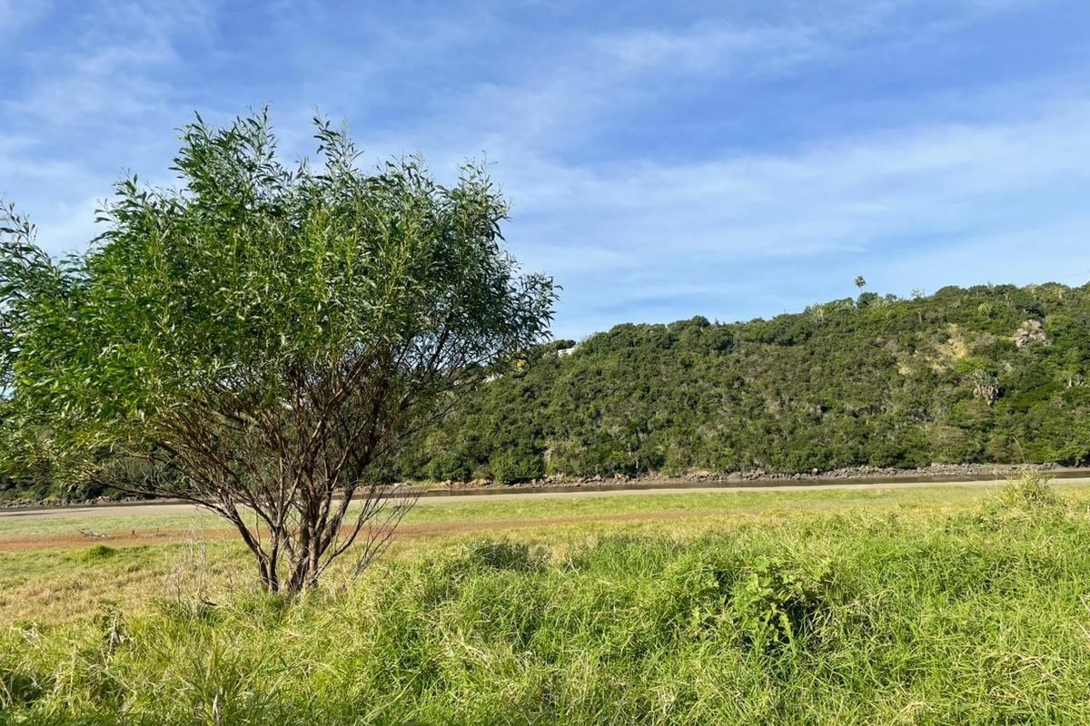 A scenic view of the natural landscape, featuring grassy terrain, a tree, and a distant hillside.