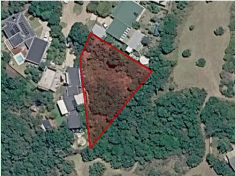 An aerial view of a vacant residential plot outlined in red, showing dense vegetation and surrounding established properties.