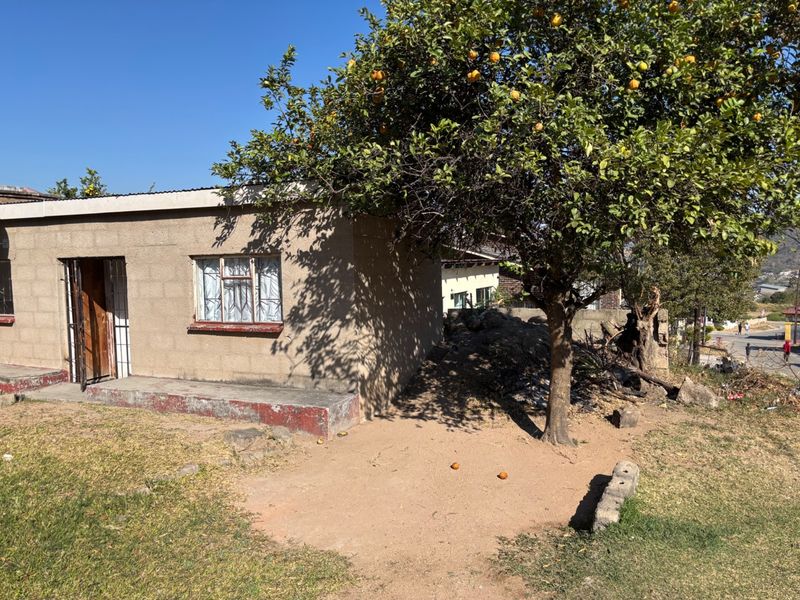 Rear view of a single-story concrete block structure featuring a metal security gate and window frames, set within a garden area with a mature tree.