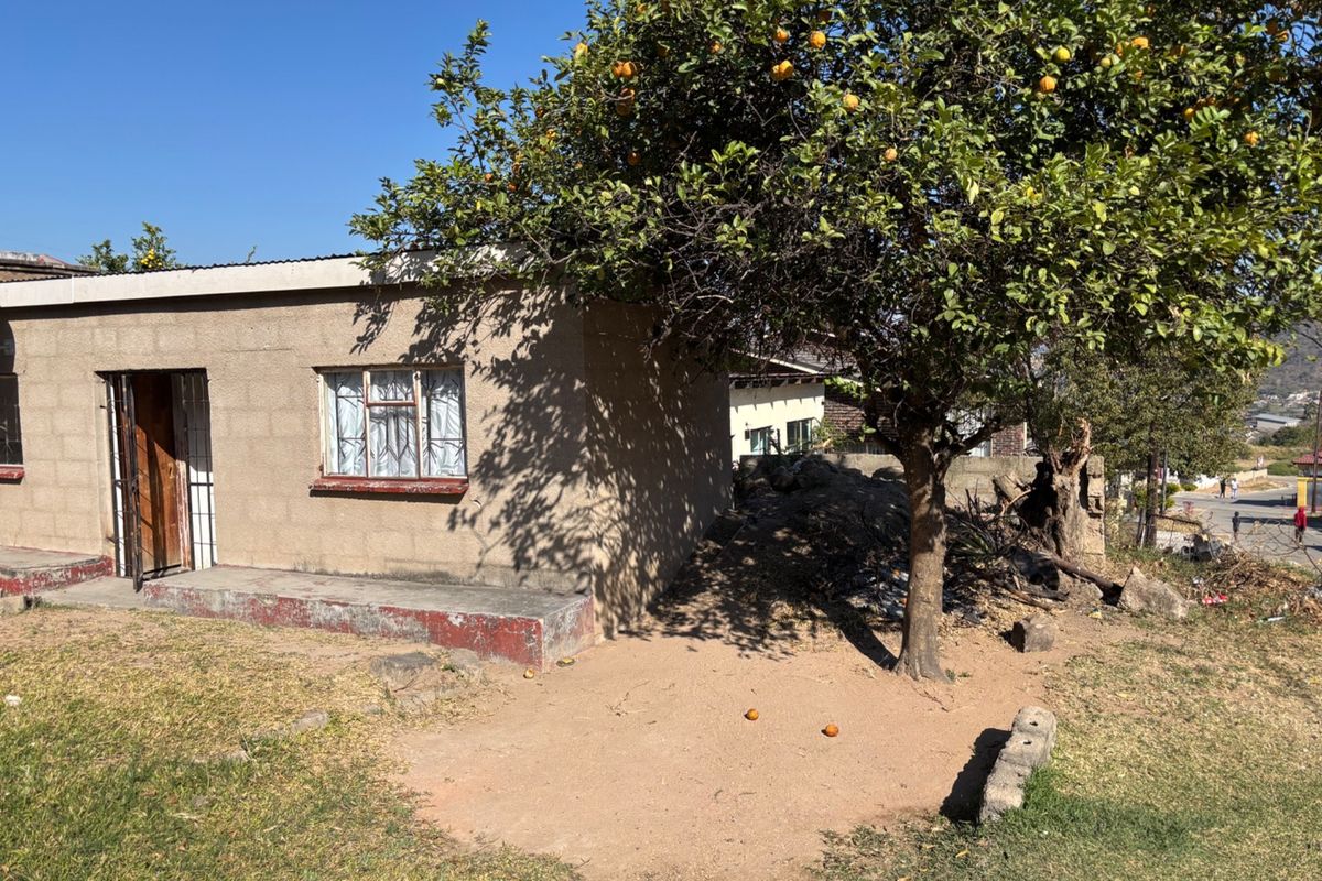 Rear view of a single-story concrete block structure featuring a metal security gate and window frames, set within a garden area with a mature tree.