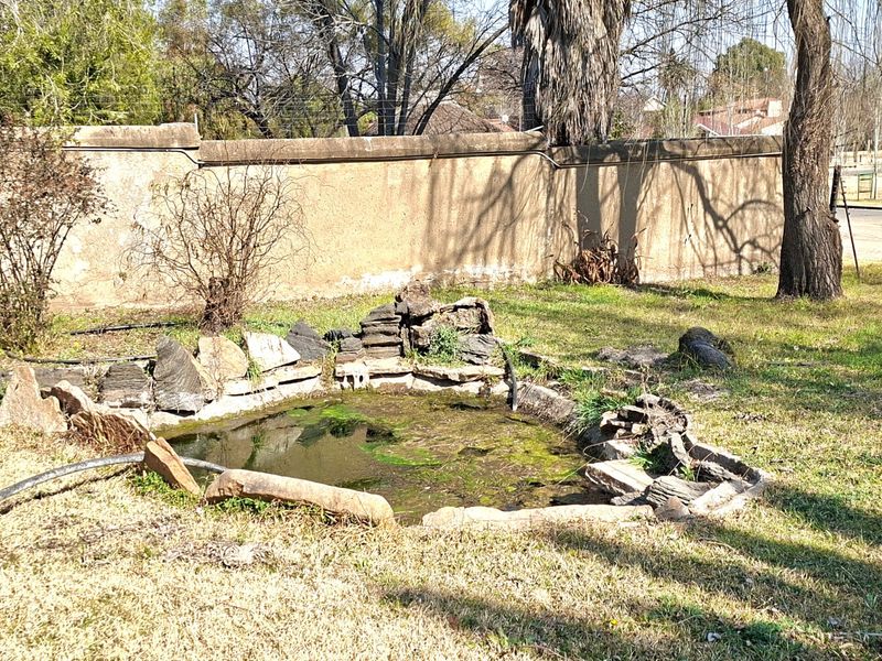 A garden area featuring a stone-lined pond and a perimeter boundary wall with electric fencing.