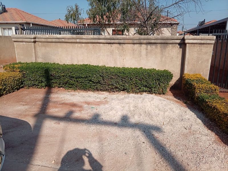 A rear outdoor area featuring a perimeter boundary wall and established hedging, currently with an unpaved ground surface.