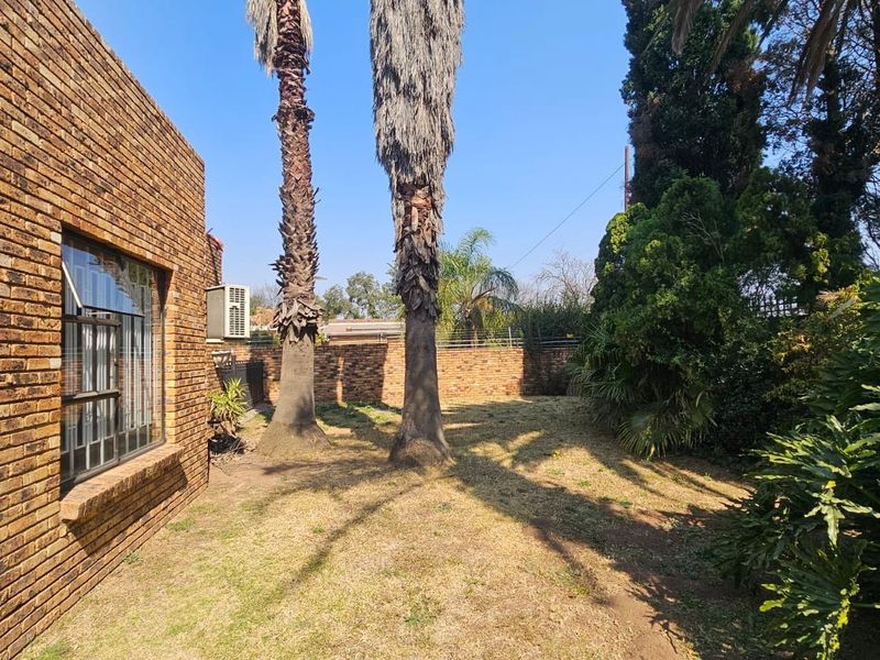 A rear garden area featuring a face brick exterior wall, established palm trees, and a brick boundary wall.