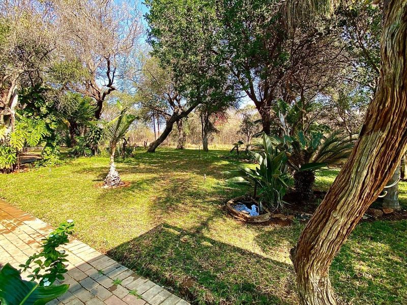 Farm For Sale in Hoedspruit - Photo 3