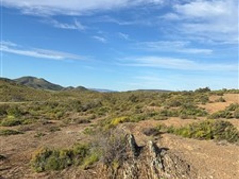 Farm For Sale in Van Wyksdorp, Ladismith - Photo 4