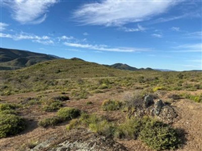Farm For Sale in Van Wyksdorp, Ladismith - Photo 5