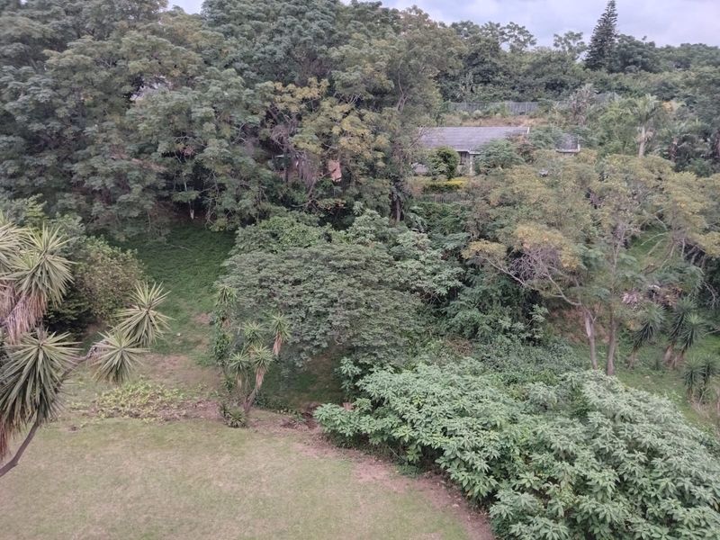 An elevated view overlooking a lush, green garden area with mature trees and dense vegetation.