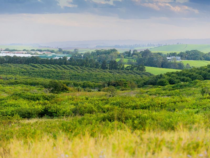A scenic, elevated view overlooking lush green agricultural land, orchards, and rolling hills under a soft, cloudy sky.