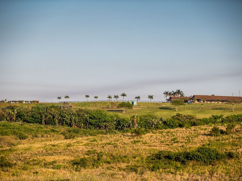 An aerial view of a large, well-maintained residential land plot featuring expansive green fields, mature trees, and perimeter fencing.