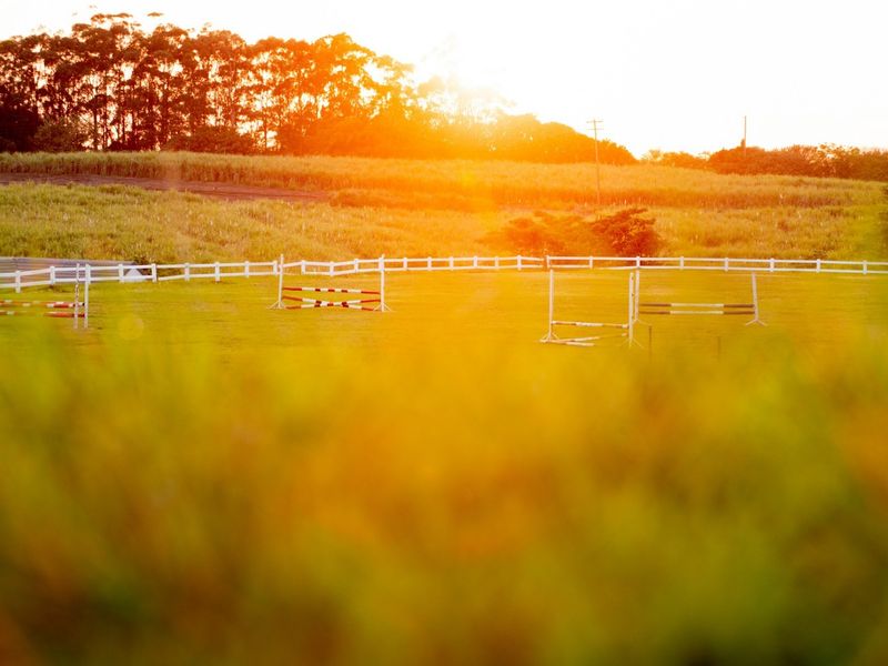 A scenic view of a well-maintained grassy field featuring a white perimeter fence and equestrian jump obstacles at sunset.