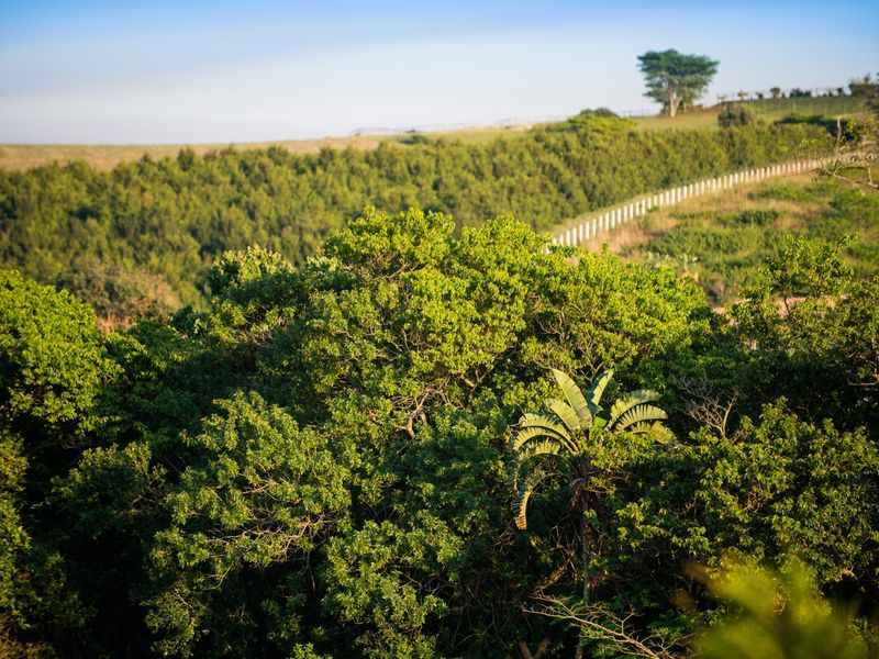 A scenic view of the natural landscape featuring lush green vegetation and rolling hills, showcasing the property's tranquil surroundings.