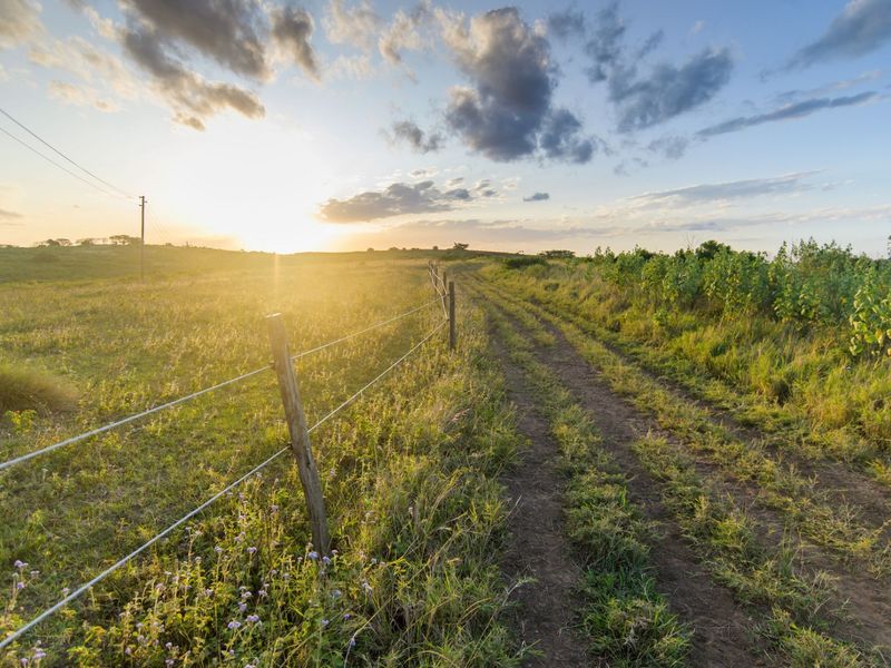 A view of a vacant residential plot featuring a dirt track, wire fencing, and natural vegetation under a sunset sky.