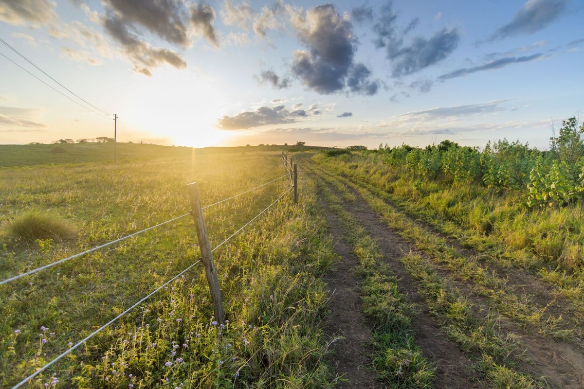 A view of a vacant residential plot featuring a dirt track, wire fencing, and natural vegetation under a sunset sky.