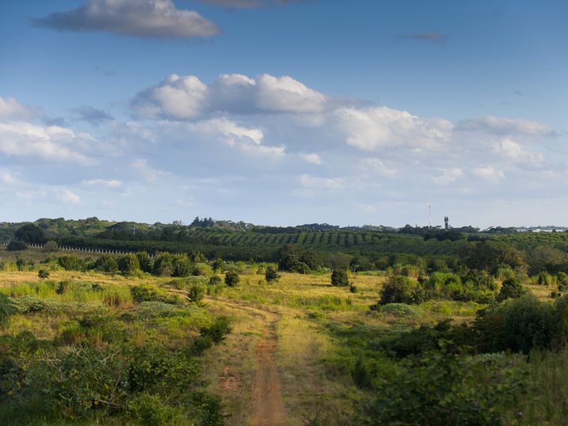 A scenic view of a vacant residential plot featuring a dirt track leading through natural vegetation and rolling landscape.