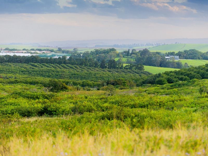 A scenic landscape view overlooking lush green fields, orchards, and rolling hills under a cloudy sky.