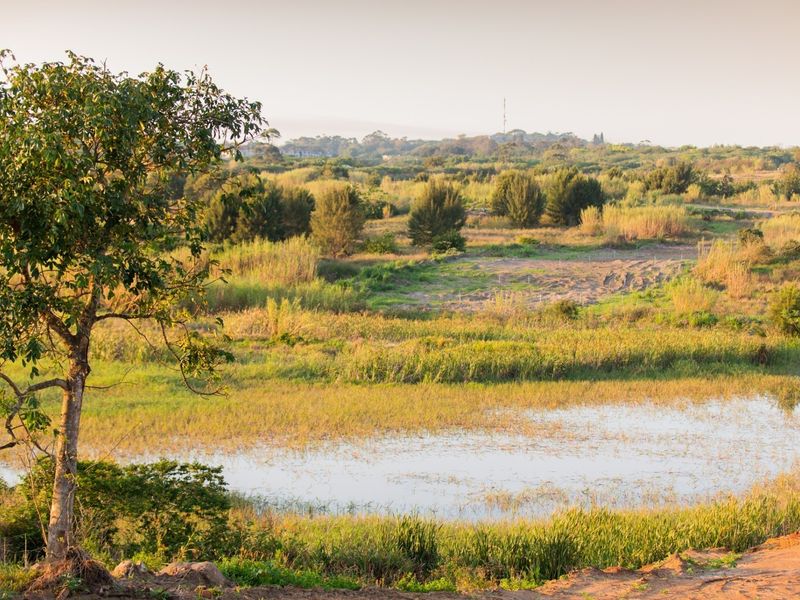 A scenic view of a natural wetland area with native vegetation and open landscape, showcasing the property's natural surroundings.