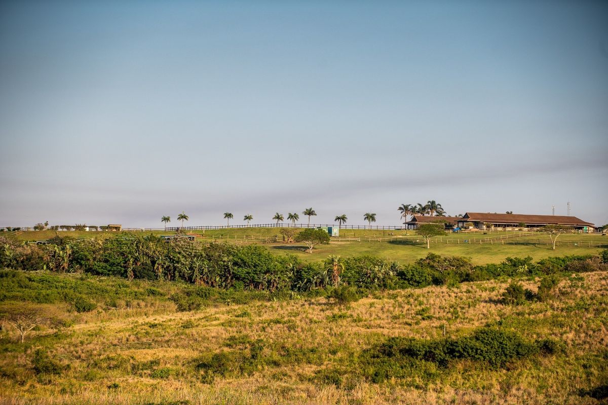 A scenic elevated view of a large residential land parcel featuring rolling green hills, established trees, and perimeter fencing.