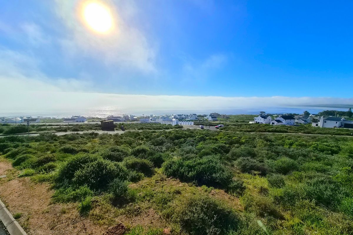 A scenic elevated view overlooking a coastal residential area with natural vegetation in the foreground and the ocean in the distance.