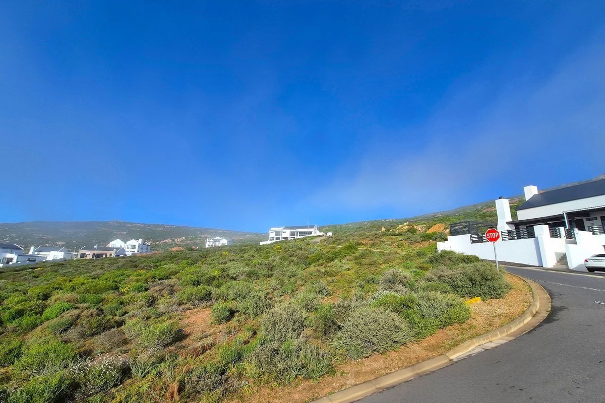 A street-level view of a sloped residential vacant land plot featuring native vegetation, adjacent to a paved road and existing residential properties.