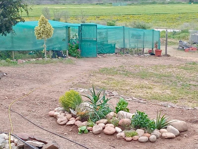 A rural garden area featuring a rock-bordered succulent bed and a green shade-netting structure for agricultural or nursery use.