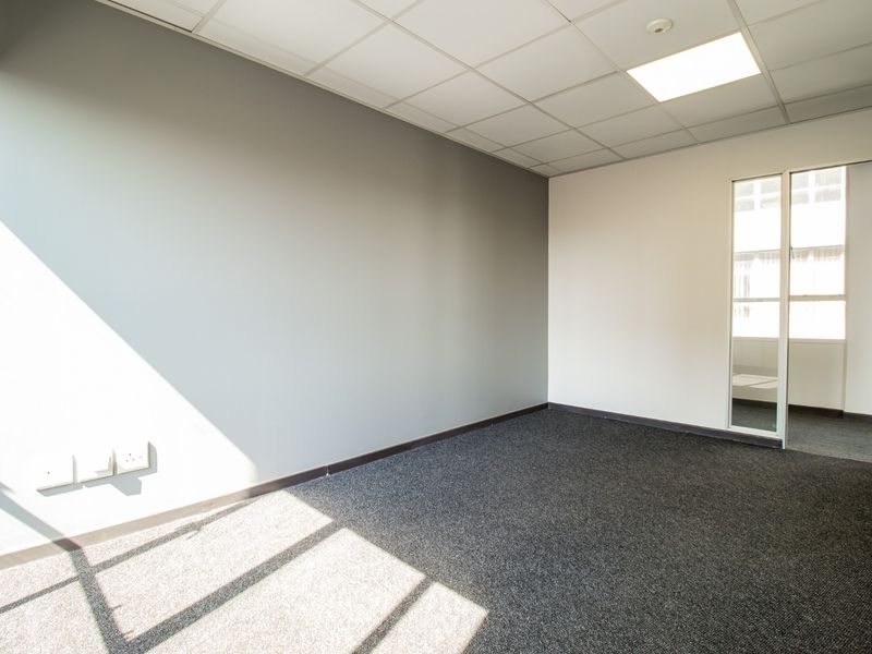 A clean, empty commercial office space featuring neutral grey walls, carpeted flooring, and a suspended ceiling with recessed lighting.