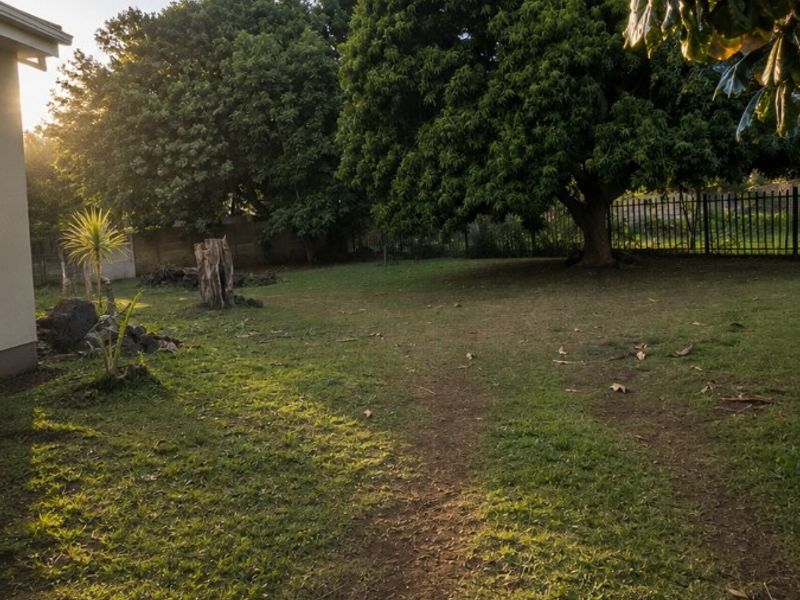 A spacious backyard garden featuring mature trees, established lawn, and secure metal perimeter fencing.