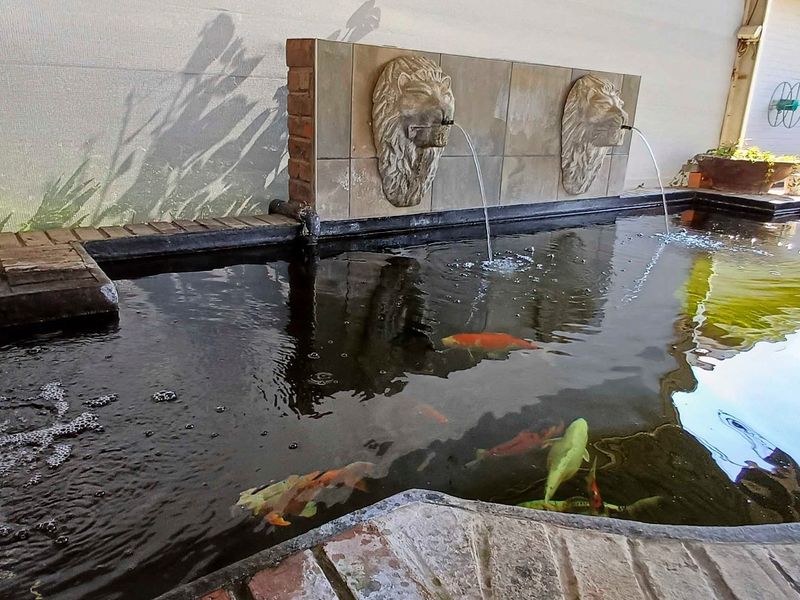 A well-maintained koi pond featuring decorative lion head water fountains and brick-edged tiling, creating a tranquil outdoor water feature.