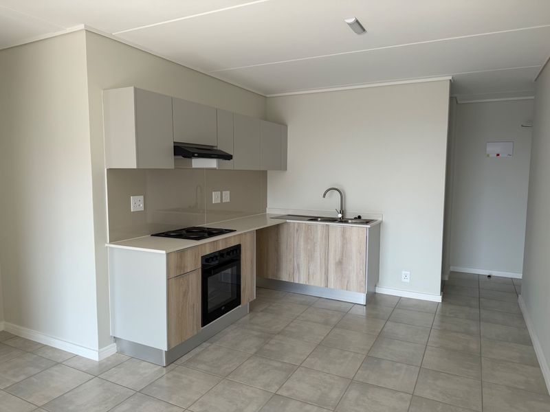 Modern kitchen featuring light wood-tone cabinetry, stone-look countertops, integrated electric oven and hob, and a sleek glass splashback in an open-plan layout.