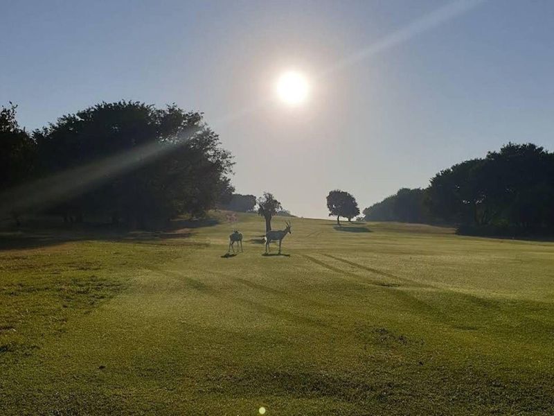 A scenic view of the expansive, well-maintained grassy landscape featuring mature trees and natural surroundings.