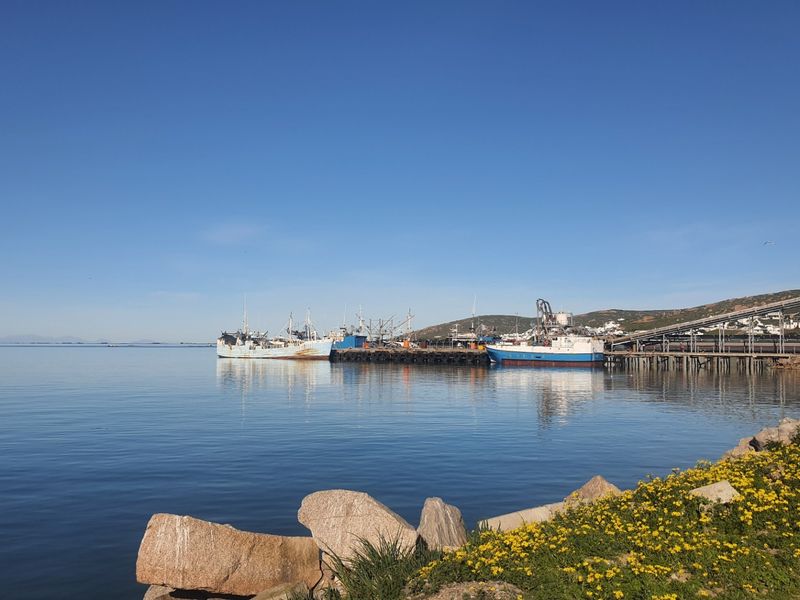 A scenic view of the local harbour featuring docked fishing vessels, a jetty, and industrial infrastructure against a clear blue sky.