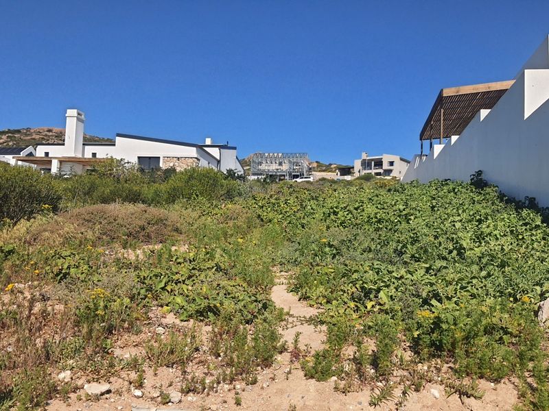 A view of a vacant residential plot featuring natural vegetation and a boundary wall, situated within a developed estate setting.