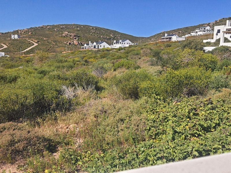 A view of a sloped, undeveloped residential plot featuring natural coastal vegetation and surrounding hillside homes.