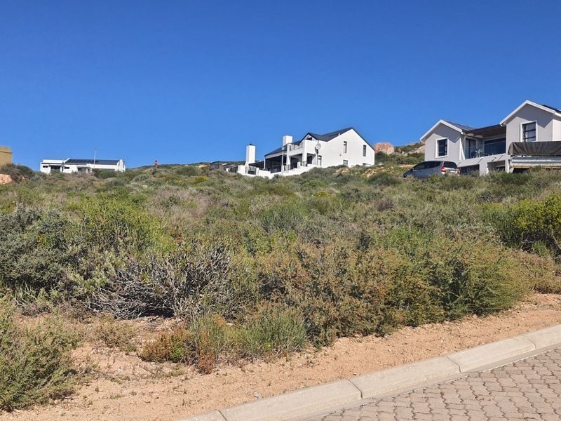 A view of a vacant residential plot featuring natural vegetation, adjacent to a paved street with concrete curbing in a developed neighborhood.