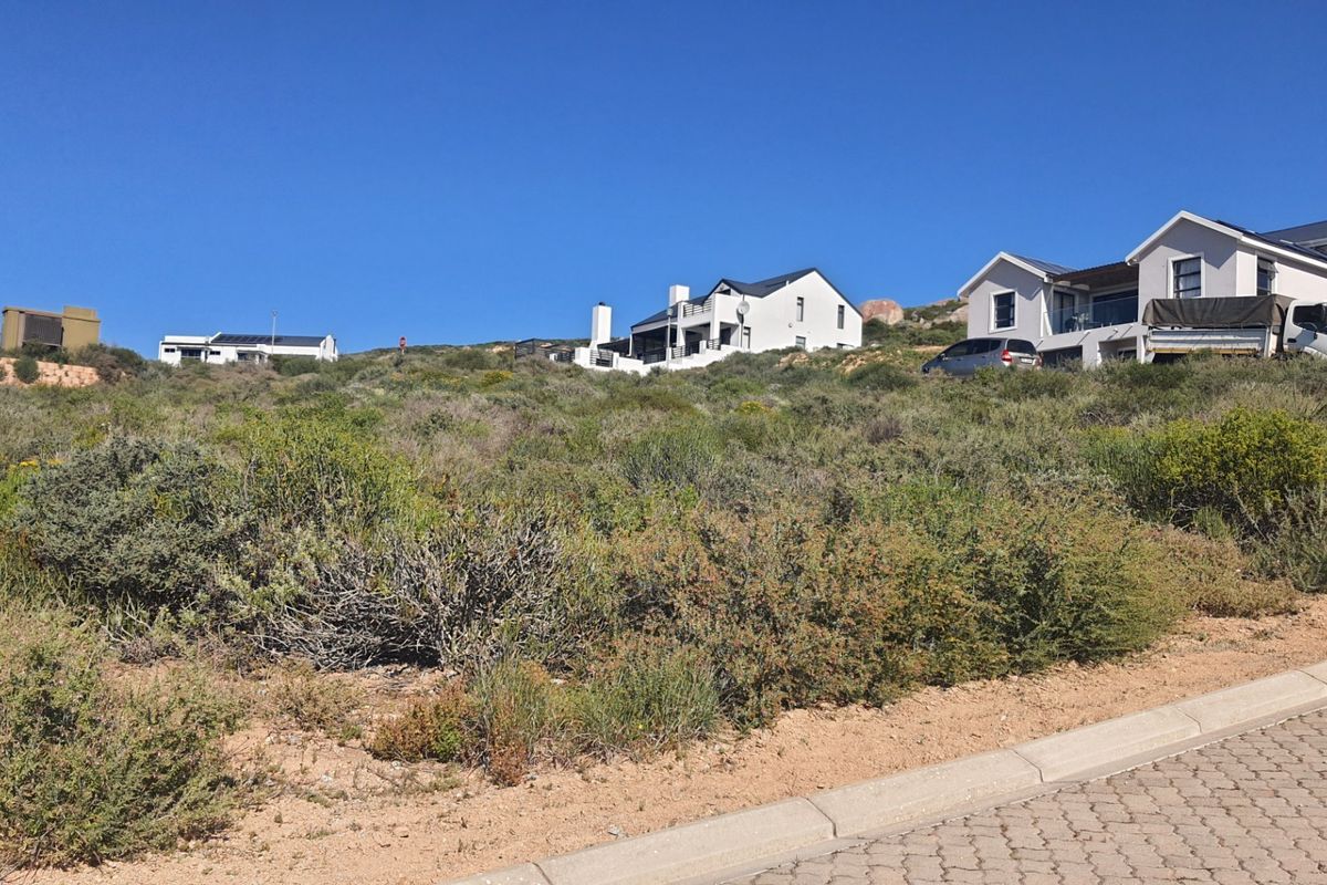 A view of a vacant residential plot featuring natural vegetation, adjacent to a paved street with concrete curbing in a developed neighborhood.