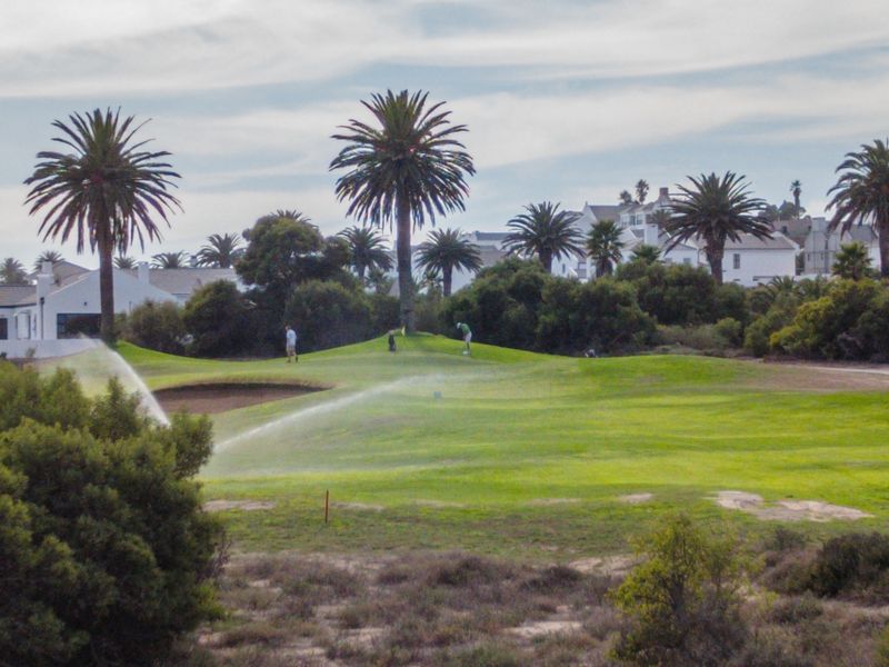 Scenic view overlooking a well-maintained golf course with lush green fairways, sand bunkers, and mature palm trees.