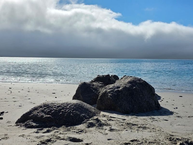 A scenic view of the ocean and sandy beach, highlighting the natural coastal surroundings of the property location.