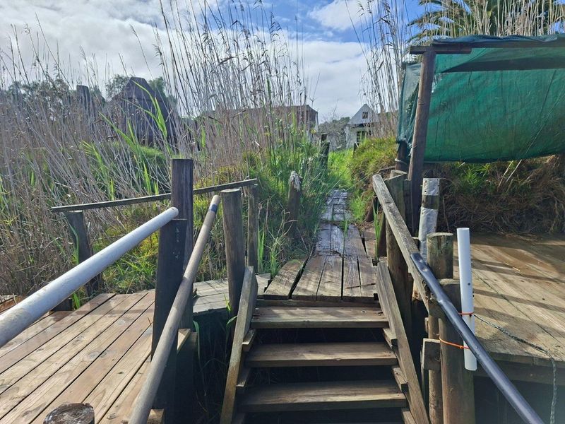 A weathered wooden boardwalk and staircase leading through a natural reed-filled garden area on the farm property.