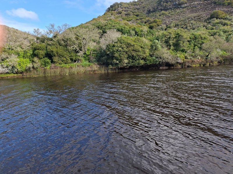 A scenic view of the river and natural landscape bordering the farm property.