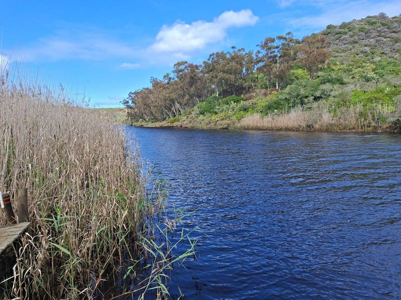 A scenic view of a natural river flowing through the farm landscape, bordered by reeds and native trees.
