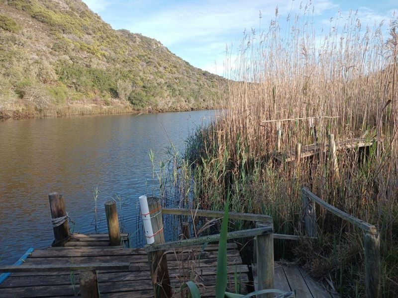 A scenic view of a river landscape featuring a weathered wooden jetty and natural reeds, highlighting the property's tranquil waterfront access.