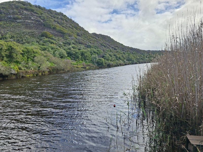 A scenic view of a natural river flowing alongside a lush, green hillside on the farm property.