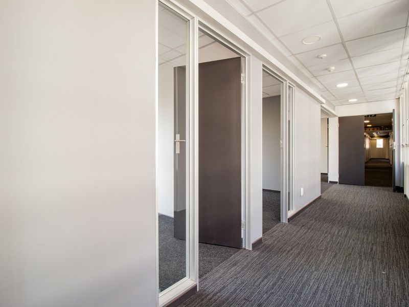 A clean, modern commercial hallway featuring suspended ceilings, recessed lighting, carpeted flooring, and multiple glass-partitioned office entrances.