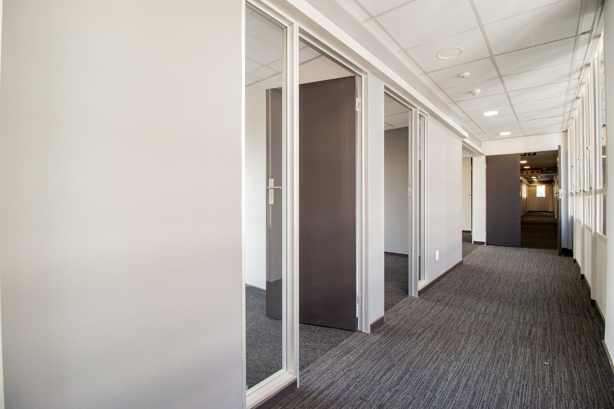 A clean, modern commercial hallway featuring suspended ceilings, recessed lighting, carpeted flooring, and multiple glass-partitioned office entrances.