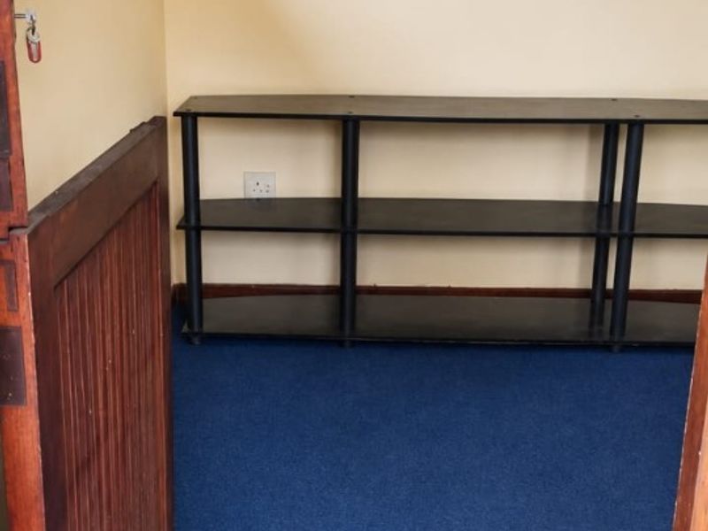 A small, empty bedroom featuring blue carpeting, a window with security bars, and a neutral wall finish, ready for renovation or staging.