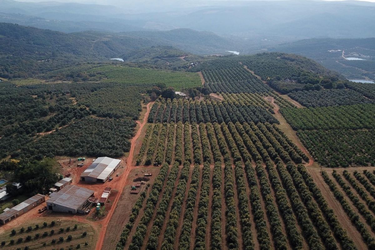 An expansive aerial view of a large-scale farm featuring extensive orchards, multiple agricultural outbuildings, and surrounding hilly landscape.