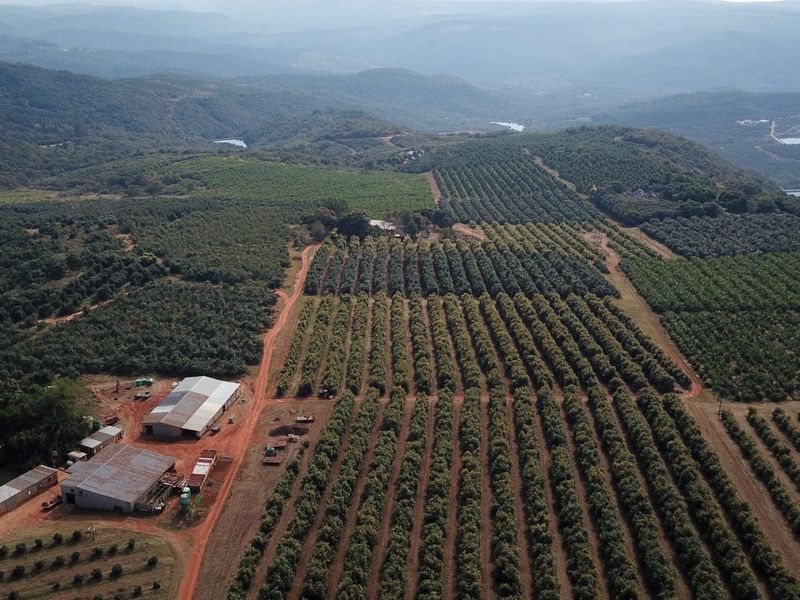 An expansive aerial view of a large-scale farm featuring extensive orchards, multiple agricultural outbuildings, and surrounding hilly landscape.