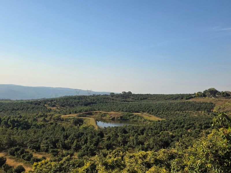 Expansive elevated view of the farm property featuring a private dam and established orchard fields under a clear sky.